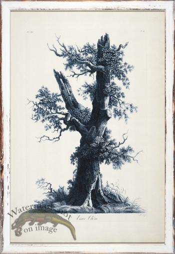 Blue Trees in Distressed White 07